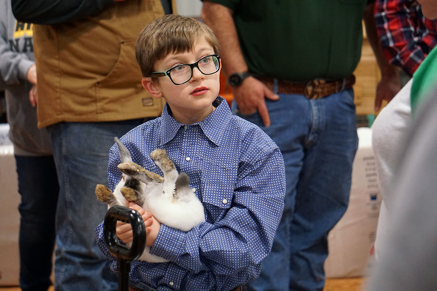 rabbits.jpg